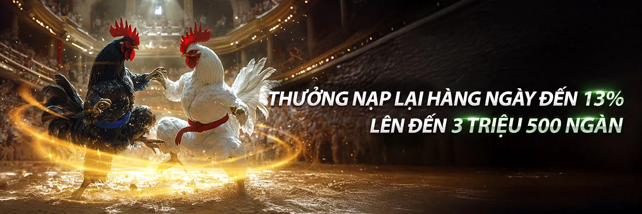 Đá Gà Trực Tiếp Duyên Ti C3 - Sân Đấu Kịch Tính